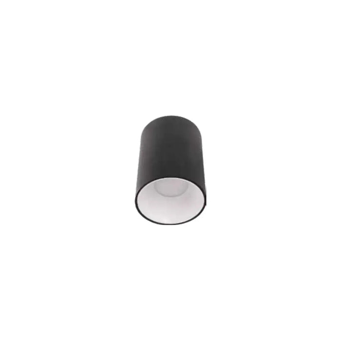 ACK Gül / Rose – AH12-08591 ürün görseli