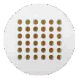 ACK Kesim Ölçüsü/Cutting Size: – AJ01-03600 ürün görseli
