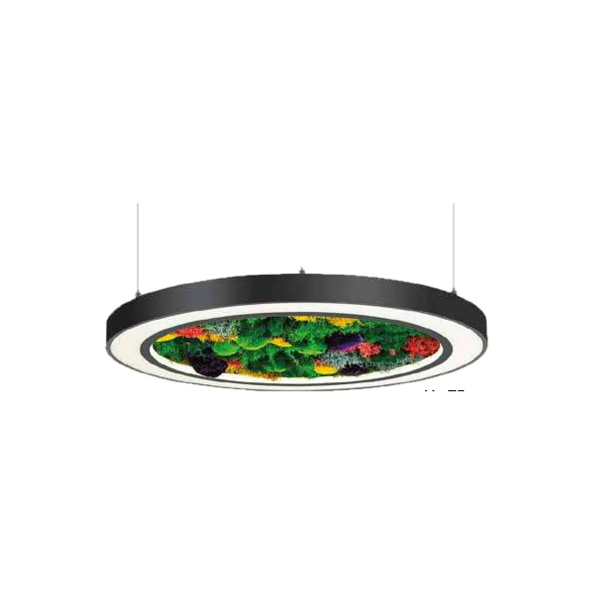 MOLLED BRİDGELUX – MOL239 ürün görseli