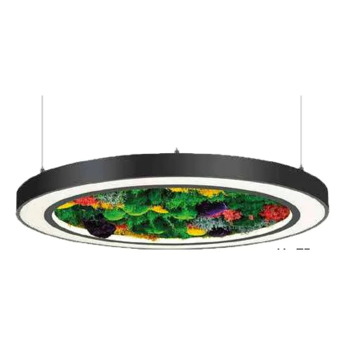 MOLLED BRİDGELUX – MOL239 ürün görseli