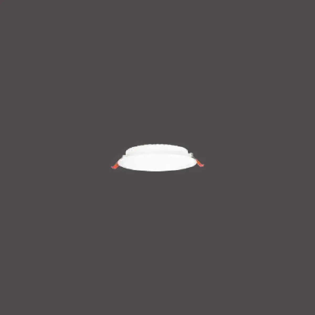 Pelsan Downlight – 110865 ürün görseli
