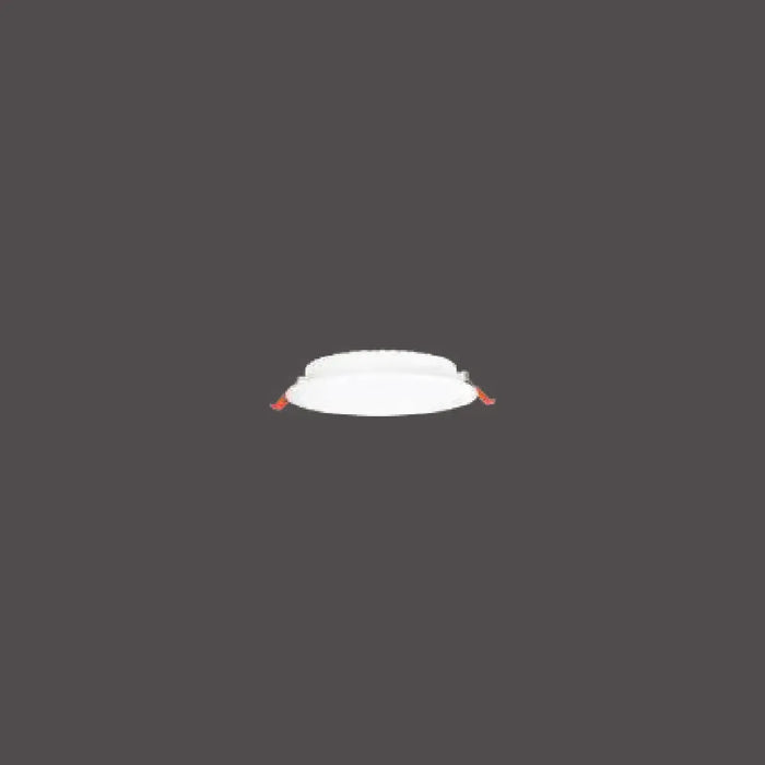 Pelsan Downlight – 110865 ürün görseli