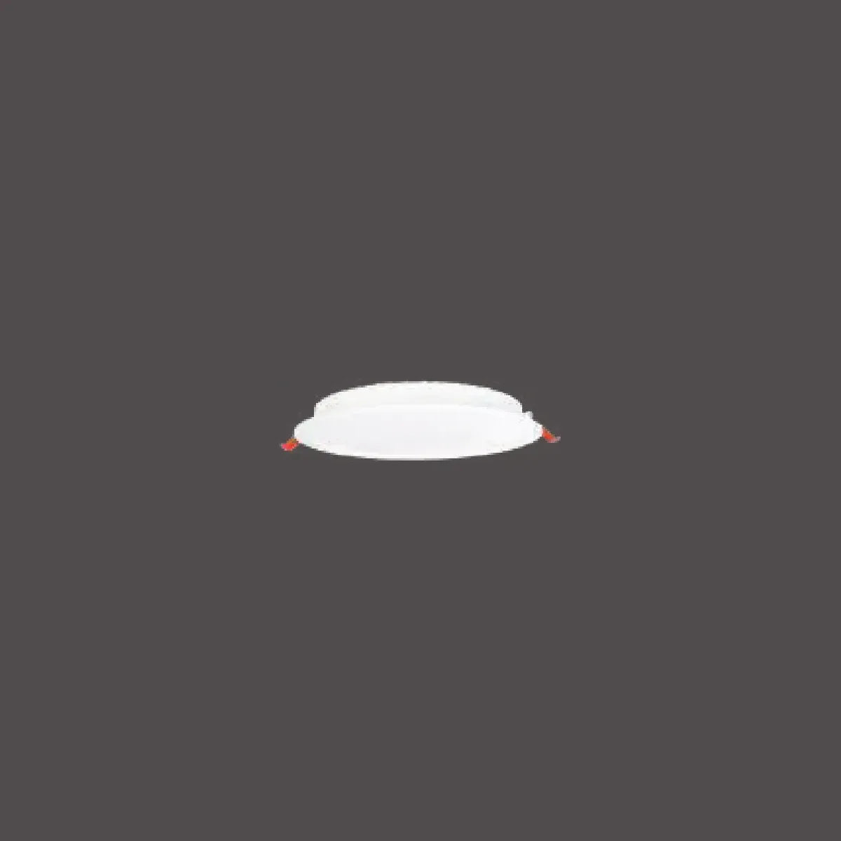 Pelsan Downlight – 110867 ürün görseli