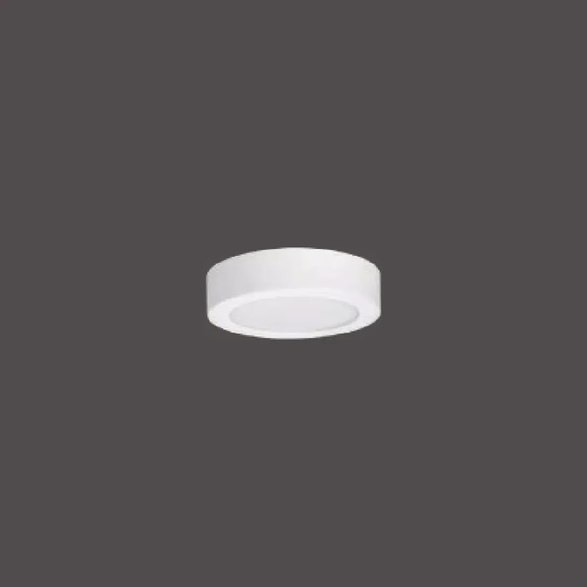 Pelsan Downlight – 111752 ürün görseli