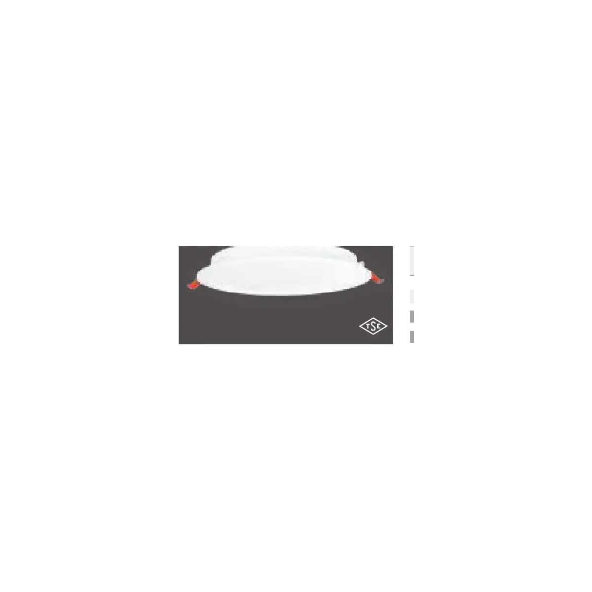 Pelsan Downlight – 111755 ürün görseli