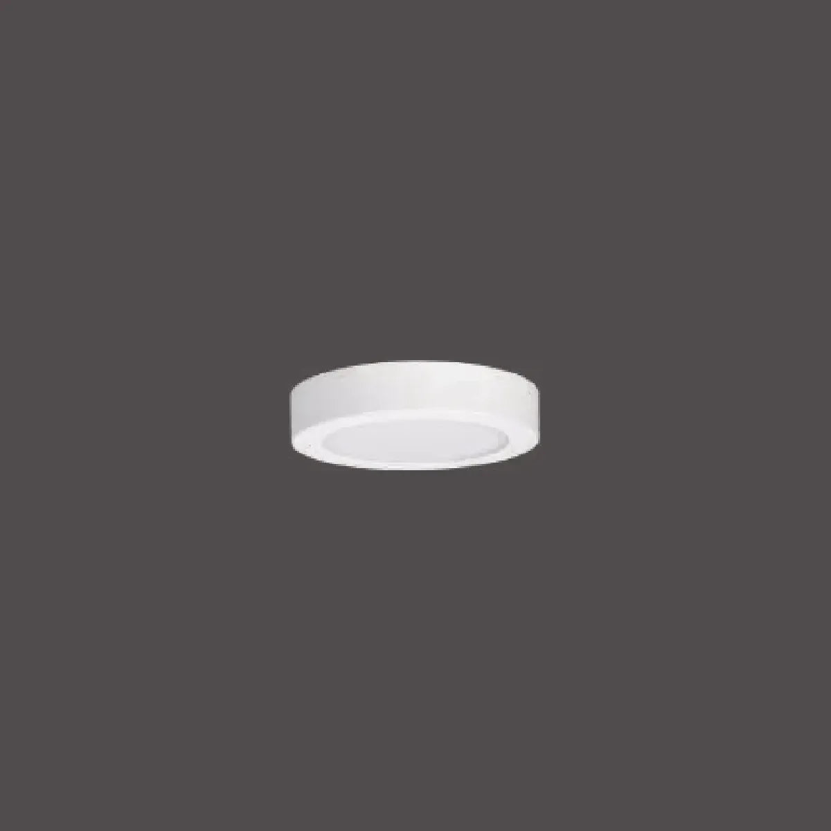 Pelsan Downlight – 116047 ürün görseli