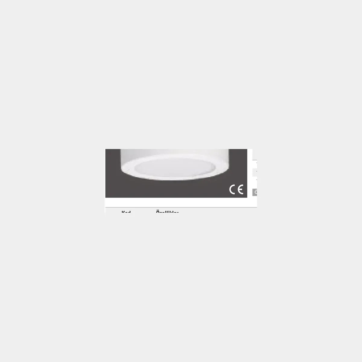 Pelsan Downlight – 116049 ürün görseli