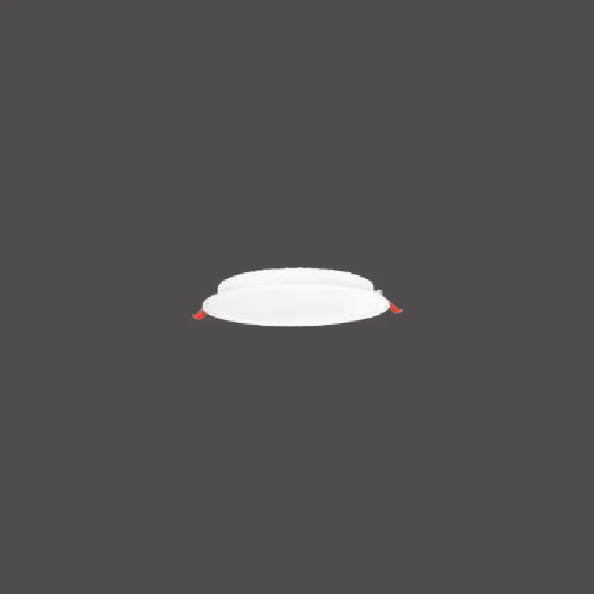 Pelsan Downlight – 115751 ürün görseli