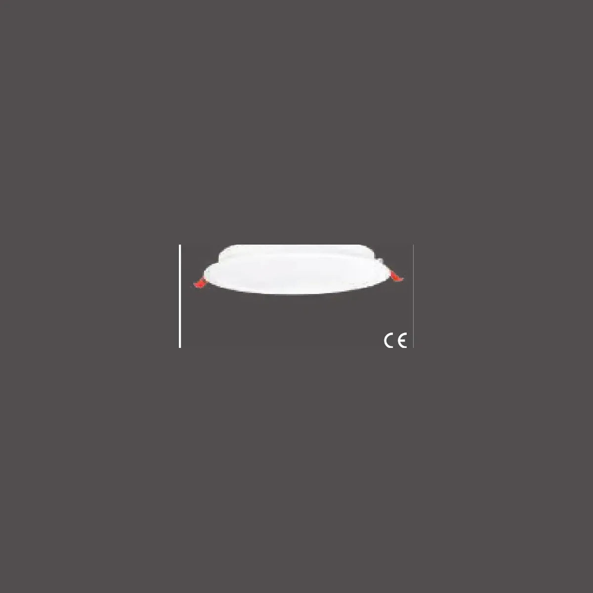 Pelsan Downlight – 116304 ürün görseli